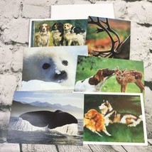 Vintage Blank Inside Greeting Cards Lot Of 6 Animal Themed Dogs Whale Tail  - £11.48 GBP