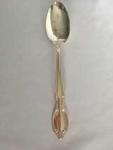 Wm. Rogers Precious Mirror Pierced Serving Spoon International Silver IS... - £9.43 GBP