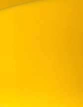 2 Yds Sunbrella Shade Canvas Fabric Awning Sunflower Yellow 4602 Waterproof 47&quot; - £22.55 GBP
