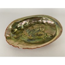 Red Abalone Shell 7.5” x 6” Beautiful Polished Beach Theme Decor Soap Di... - $138.40 CAD