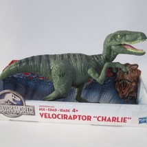 Hasbro Jurassic World Velociraptor Charlie Action Figure Dinosaur In Box 2015 - £31.56 GBP