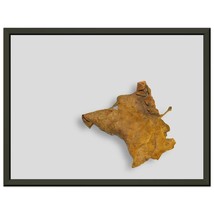 Dog Leaf Photo by John Pape - $1,212.80 MXN