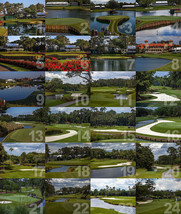 TPC Sawgrass Hole 18 Golf Hole Photo Tournament Players Club 11&quot;x14&quot; 24 CHOICES - £19.63 GBP