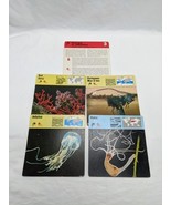 Lot Of (4) 1975 Rencontre Sponges And Jellyfishes Education Cards - $229.82 MXN