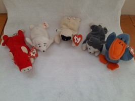 Five TY Teenie Beanie Babies Seamore Snort Chops Nook+Scoop 5&quot;-6.5&quot; Tags/Tagless - £3.73 GBP