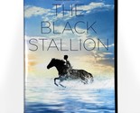 The Black Stallion (DVD, 1979, Full Screen) Like New !  Kelly Reno Micke... - $7.68
