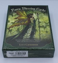 Faery Blessing Cards 45 Cards and 124 Page Guidebook Healing Enchantment - $37.39