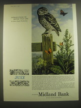 1965 Midland Bank Ad - Little Owl and Large Copper Butterflies - £14.54 GBP