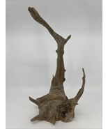 Driftwood Root Sculpture 15x6x4 – Large Statement for Decor or Terrariums - €30,06 EUR Driftwood Root Sculpture 15x6x4 – Large Statement for Decor or Terrariums - €30,06 EUR