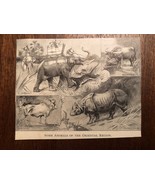 Vintage Engraving Print of ASIAN ANIMALS Tiger Elephant Unframed 3&quot; x 4&quot; - £5.60 GBP