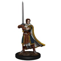 Dungeons &amp; Dragons Premium Human Fighter Male Miniature - £17.49 GBP