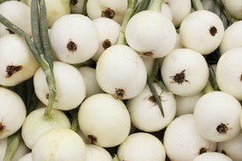 Onion Seeds 200 White Sweet Spanish Mild Vegetable New Fresh Seeds - £3.05 GBP