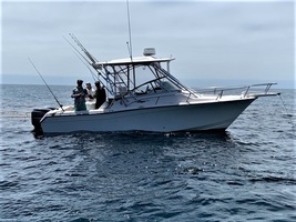 LOWRANCE POINT-1 GPS/HEADING ANTENNA image 3