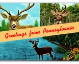 Deer Buck Multiview Banner Greetings From Pennsylvania PA UNP Chrome Pos... - £2.28 GBP