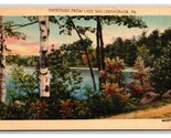 Generic Scenic Landsccape Greetings Lake Wallenpaupack PA Linen Postcard... - £3.44 GBP