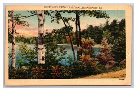 Generic Scenic Landsccape Greetings Lake Wallenpaupack PA Linen Postcard N24 - £3.53 GBP