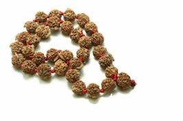 Ganesha Rudraksha Kantha Mala 32 + 1 Beads Nepal Origin Energized - £279.30 GBP