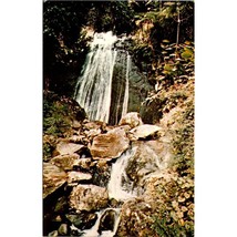 Vintage Chrome Puerto Rico Postcard, La Coca Waterfall El Yunque Rain Fo... - $20.32