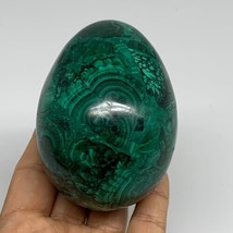 1.34 lbs, 3.4&quot;x2.5&quot;, Natural Solid Malachite Egg Polished Gemstone @Congo, B3275 - £474.80 GBP
