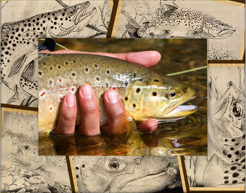 Trout Fishing Laser Engraved Wood Picture Frame Landscape (8 x 10) - $52.99