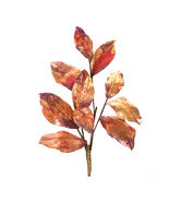 Metallic Harvest Leaf Spray (Set of 2) - €51,58 EUR