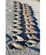 Lot Of 24 Carry Lite Mallarf Duck Decoys - 13 MALES, 11 FEMALES - €255,15 EUR Lot Of 24 Carry Lite Mallarf Duck Decoys - 13 MALES, 11 FEMALES - €255,15 EUR