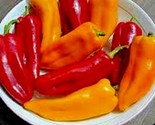 60 Seeds Cubanelle Sweet Pepper Seeds Organic Vegetable Garden Patio Con... - £7.20 GBP