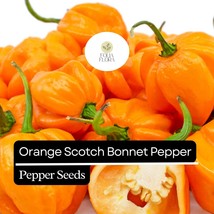 20 Orange Scotch Bonnet Pepper Seeds – Heirloom, Hot &amp; Spicy – Non-GMO, ... - $5.71