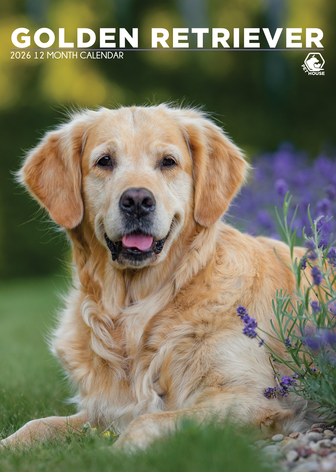 Golden Retriever Calendar 2026 - $19.99