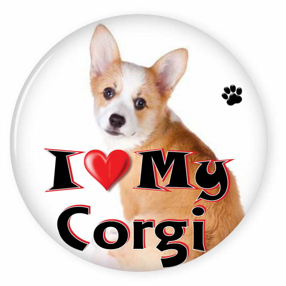 I LOVE MY WELSH CORGI DOG PUPPY 3&quot; SAFETY PIN BACK BUTTON - $6.29