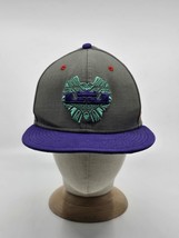 Nike True LJ Lebron James Lion Hat Gray Purple Red Embroidered Snapback Cap Hat - £15.75 GBP