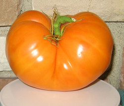 30+ Amana Orange Tomato Seeds Heirloom Organic Non Gmo  - $2.81