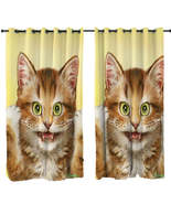 Beautiful Cats Art Paintings Funny Face Kitten Curtain - $1,060.31 MXN+