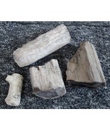 Lot of 4 Petrified Wood Fossil 100% Natural 350gr NICE! Wood Grain Struc... - €18,75 EUR