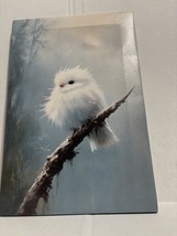 Fluffy And Clean - $23.50