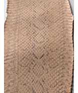 Single One Exotic Russell&#39;s Viper Snake Skin Snakeskin Leather Hide Wheat  - $473.32 MXN+