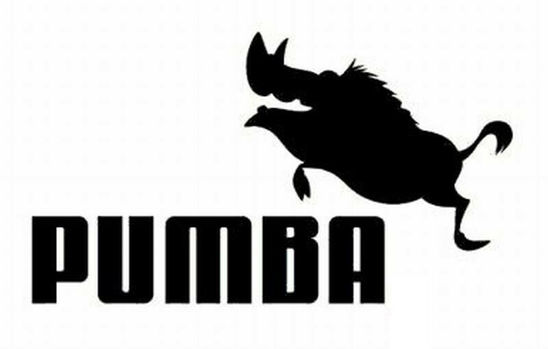 2x Pumba Logo Vinyl Decal Sticker Different colors & size for Car/Bikes/Window
