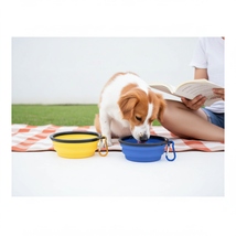 2 pack Collapsible Dog Bowl Portable Pet Feeding Dish with Carabiner for... - $12.99