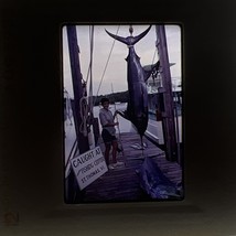 Woman With Swordfish St. Thomas Virgin Islands 1968 35mm Slide Photos - $115.83 MXN