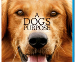 A Dogs Purpose Blu-ray | Region B - $15.02