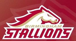 Birmingham Stallions UFL Football 2024  Mens Polo XS-6XL, LT-4XLT XFL New - $25.24+