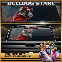 Bulldog Stare - Truck Back Window Graphics - Customizable - £46.37 GBP+