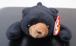 Ty Beanie Baby Blackie the Bear 4th Generation Hang Tag 3rd Tush Tag  PVC Filled - £11.86 GBP
