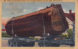 Giant Log En Route to Mill Oregon OR Postcard C04 - £2.38 GBP