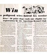 1930 Keds Shoes Sneakers Wire Haired Fox Terrier Advertisement Dogs Priz... - €25,56 EUR