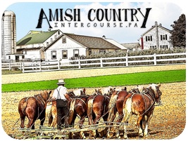 Amish Country Intercourse Pennsylvania with Horse Team Photo Fridge Magnet - £5.98 GBP
