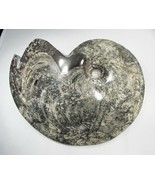 HUGE 8lb Ammonite Fossil Specimen Beautiful!! C2686 - £380.26 GBP