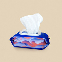 Dame Body Wipes 25 ct. Dispenser Pack - £14.87 GBP