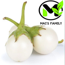 SEPT White Round Eggplant Seeds Cà Pháo Trắng 茄子berenjena 90% Germination - £4.41 GBP