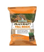 Jonathan Green (10765) Black Beauty Fall Magic Grass Seed - Cool Season ... - $31.02